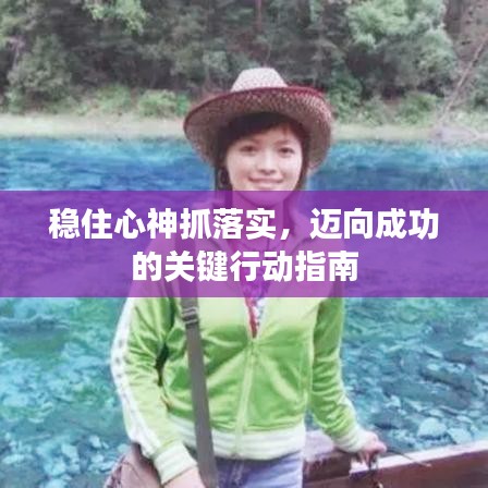 稳住心神抓落实，迈向成功的关键行动指南