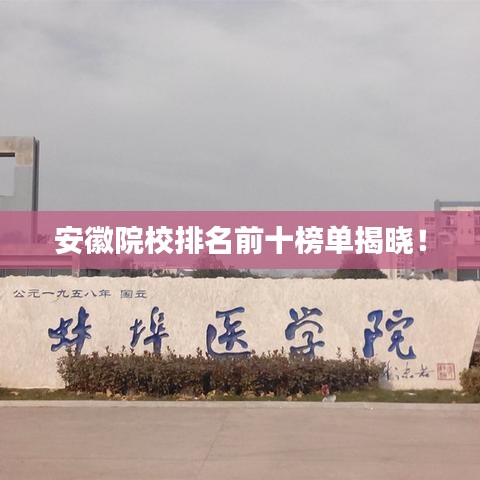 安徽院校排名前十榜单揭晓！
