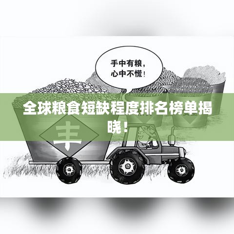 全球粮食短缺程度排名榜单揭晓！