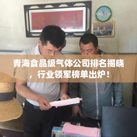 青海食品级气体公司排名揭晓，行业领军榜单出炉！