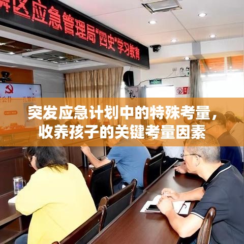 突发应急计划中的特殊考量，收养孩子的关键考量因素