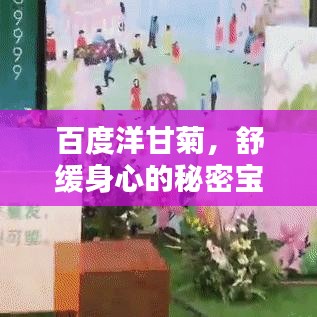 百度洋甘菊，舒缓身心的秘密宝藏，全网热议热议热议！