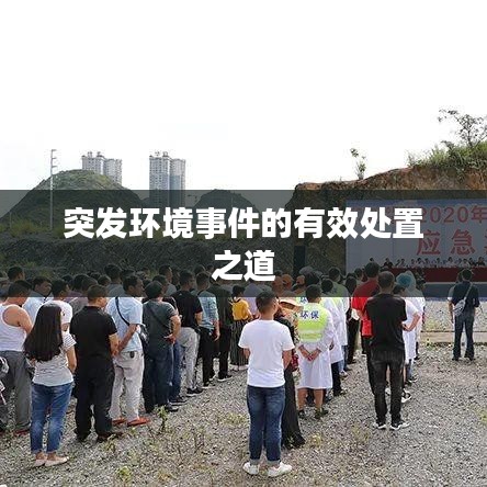 突发环境事件的有效处置之道