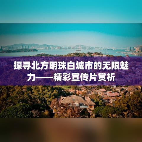 探寻北方明珠白城市的无限魅力——精彩宣传片赏析