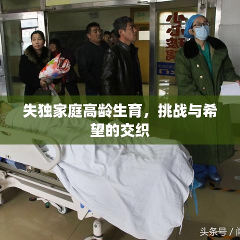 失独家庭高龄生育，挑战与希望的交织