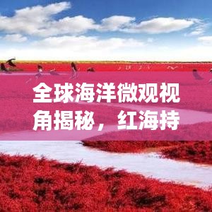 全球海洋微观视角揭秘，红海持续扩张的神秘力量