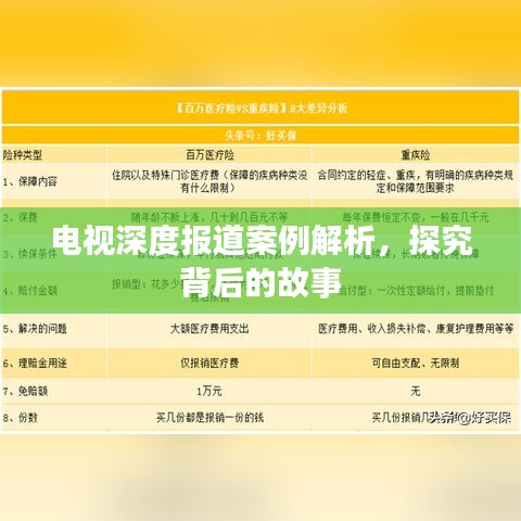电视深度报道案例解析，探究背后的故事