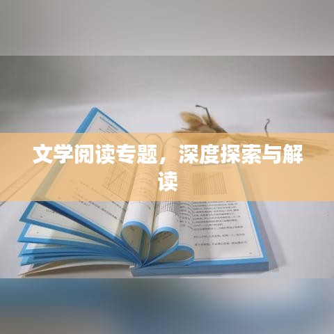 文学阅读专题，深度探索与解读