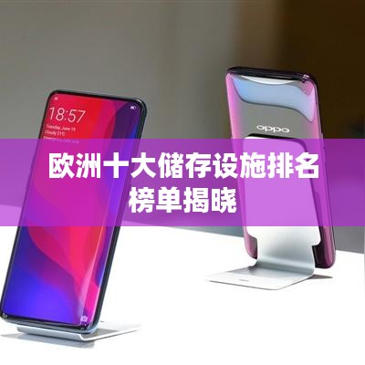 欧洲十大储存设施排名榜单揭晓