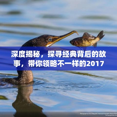 深度揭秘，探寻经典背后的故事，带你领略不一样的2017年