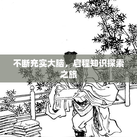 不断充实大脑，启程知识探索之旅