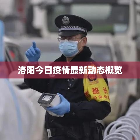 洛阳今日疫情最新动态概览