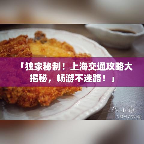 「独家秘制！上海交通攻略大揭秘，畅游不迷路！」