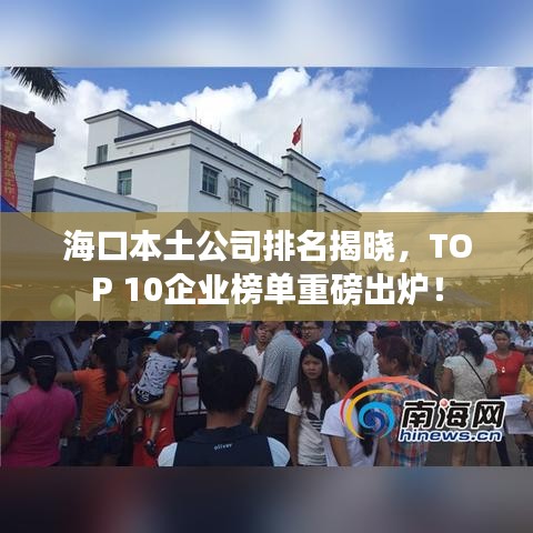 海口本土公司排名揭晓，TOP 10企业榜单重磅出炉！