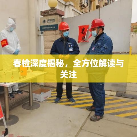 春检深度揭秘，全方位解读与关注