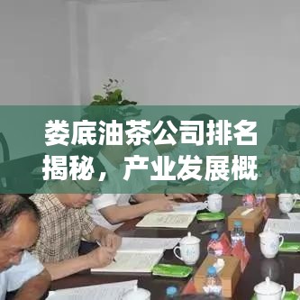 娄底油茶公司排名揭秘，产业发展概览