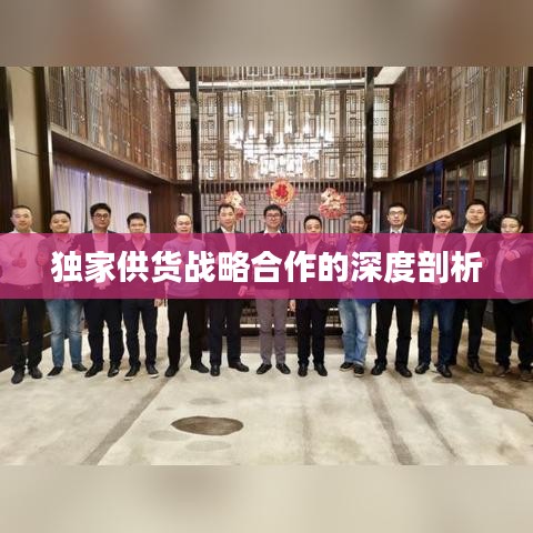 独家供货战略合作的深度剖析
