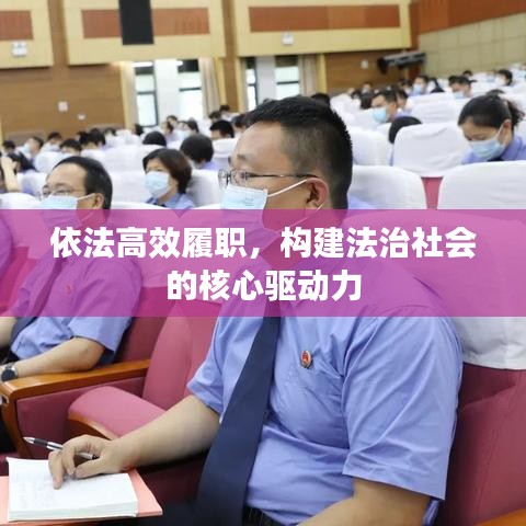 依法高效履职，构建法治社会的核心驱动力
