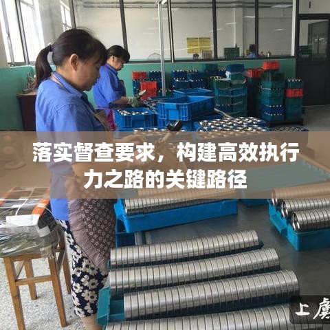 落实督查要求，构建高效执行力之路的关键路径
