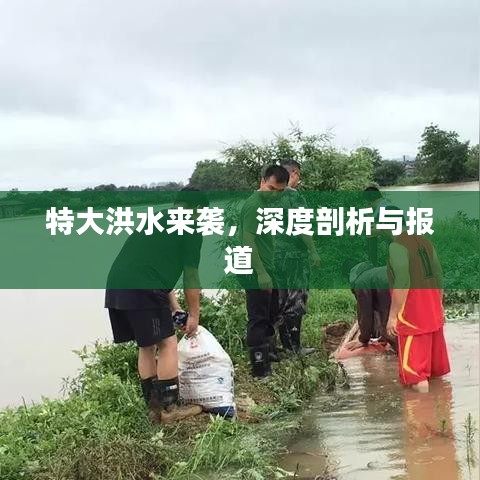 特大洪水来袭，深度剖析与报道
