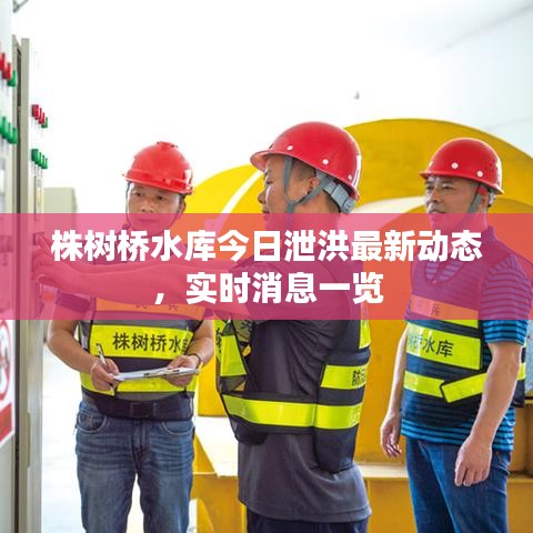 株树桥水库今日泄洪最新动态，实时消息一览