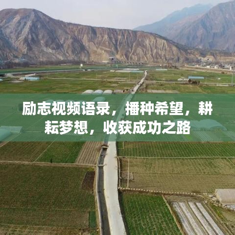 励志视频语录，播种希望，耕耘梦想，收获成功之路