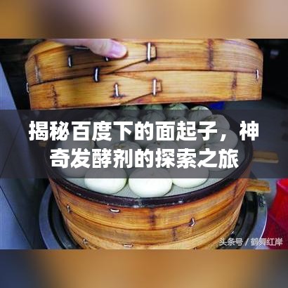 揭秘百度下的面起子，神奇发酵剂的探索之旅