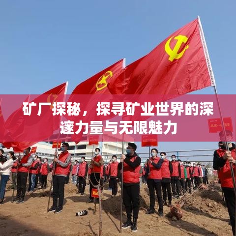 矿厂探秘，探寻矿业世界的深邃力量与无限魅力