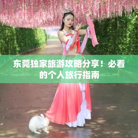 东莞独家旅游攻略分享！必看的个人旅行指南