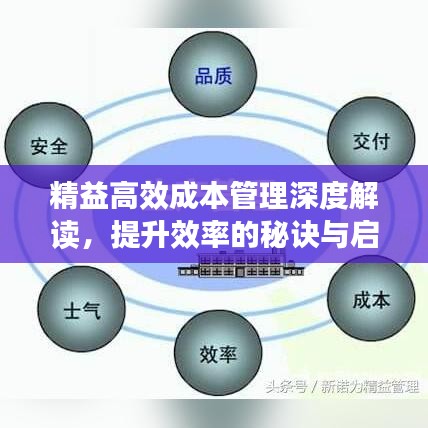 精益高效成本管理深度解读，提升效率的秘诀与启示