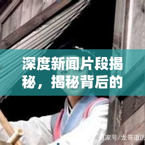 深度新闻片段揭秘，揭秘背后的真相报道分析