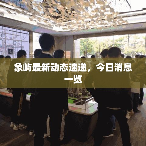 象屿最新动态速递，今日消息一览