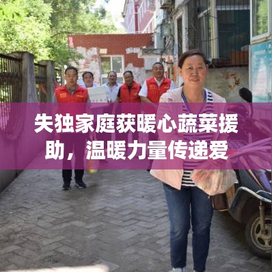 失独家庭获暖心蔬菜援助，温暖力量传递爱