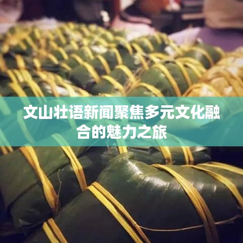 文山壮语新闻聚焦多元文化融合的魅力之旅