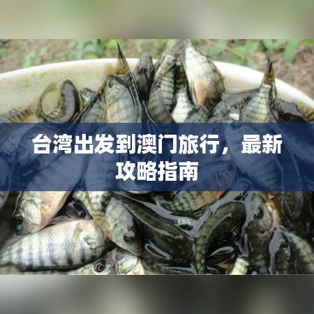 台湾出发到澳门旅行，最新攻略指南