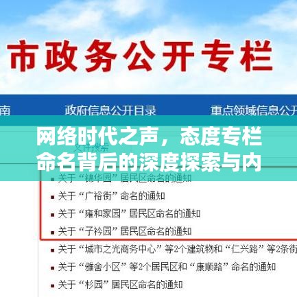 网络时代之声，态度专栏命名背后的深度探索与内涵解析