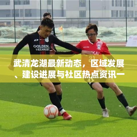 武清龙湖最新动态，区域发展、建设进展与社区热点资讯一网打尽