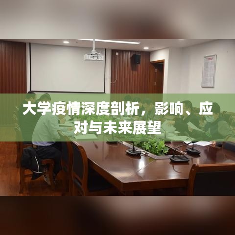 大学疫情深度剖析，影响、应对与未来展望