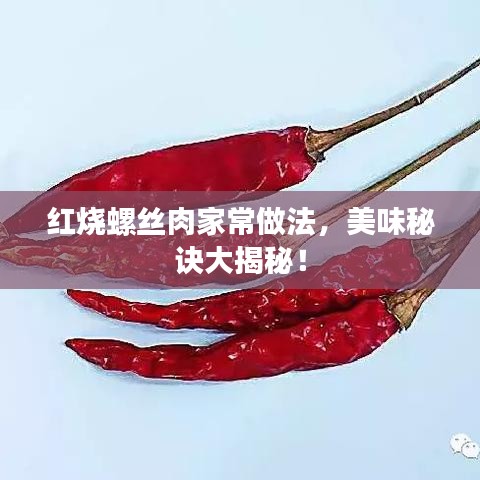 红烧螺丝肉家常做法，美味秘诀大揭秘！