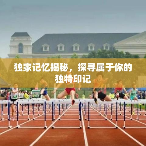 独家记忆揭秘，探寻属于你的独特印记
