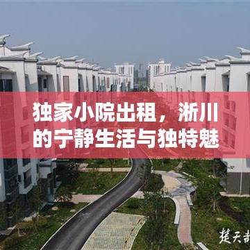 独家小院出租，淅川的宁静生活与独特魅力体验
