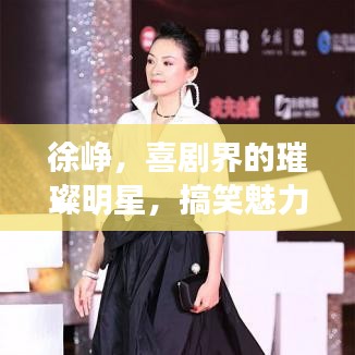 徐峥，喜剧界的璀璨明星，搞笑魅力引爆全网！