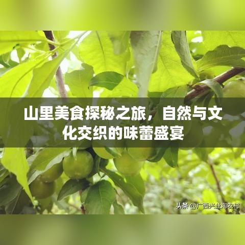 山里美食探秘之旅，自然与文化交织的味蕾盛宴
