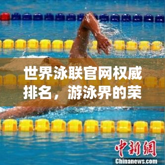世界泳联官网权威排名，游泳界的荣耀榜单，荣誉尽在其中！