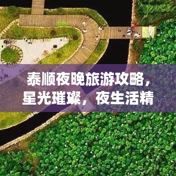 泰顺夜晚旅游攻略，星光璀璨，夜生活精彩纷呈！