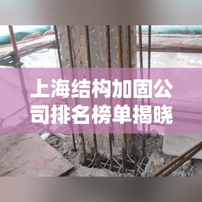 上海结构加固公司排名榜单揭晓，权威推荐，专业可靠！