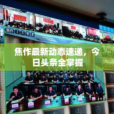 焦作最新动态速递，今日头条全掌握