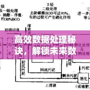 高效数据处理秘诀，解锁未来数据处理的关键技术！