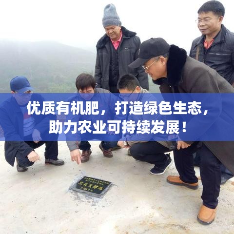 优质有机肥，打造绿色生态，助力农业可持续发展！