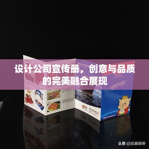 设计公司宣传册，创意与品质的完美融合展现